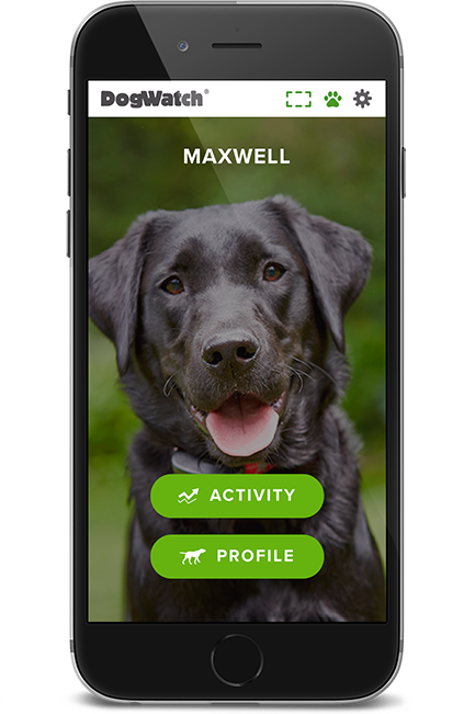 DogWatch by DogPro Kennel, De Soto, IA | SmartFence WebApp Image