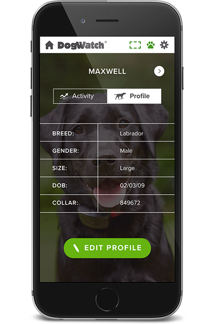 DogWatch by DogPro Kennel, De Soto, IA | SmartFence WebApp Image