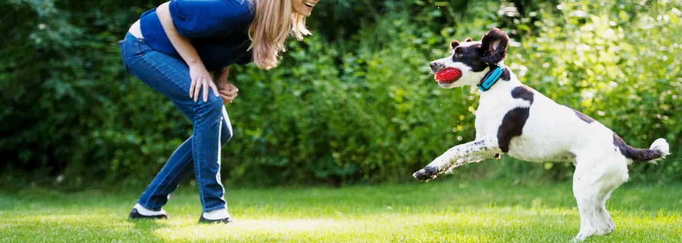 Customer Testimonial Image